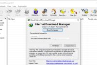 Internet Download Manager (IDM) 6.41 Build 9 Full